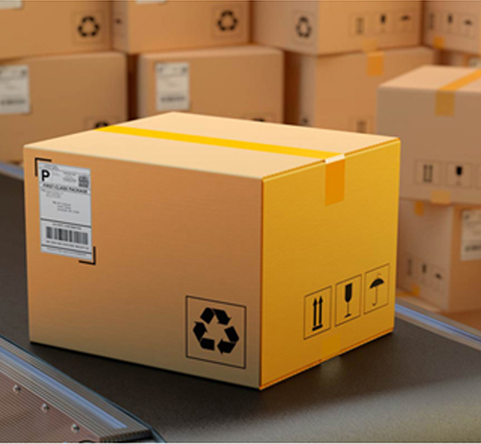 Domestic courier delivery service